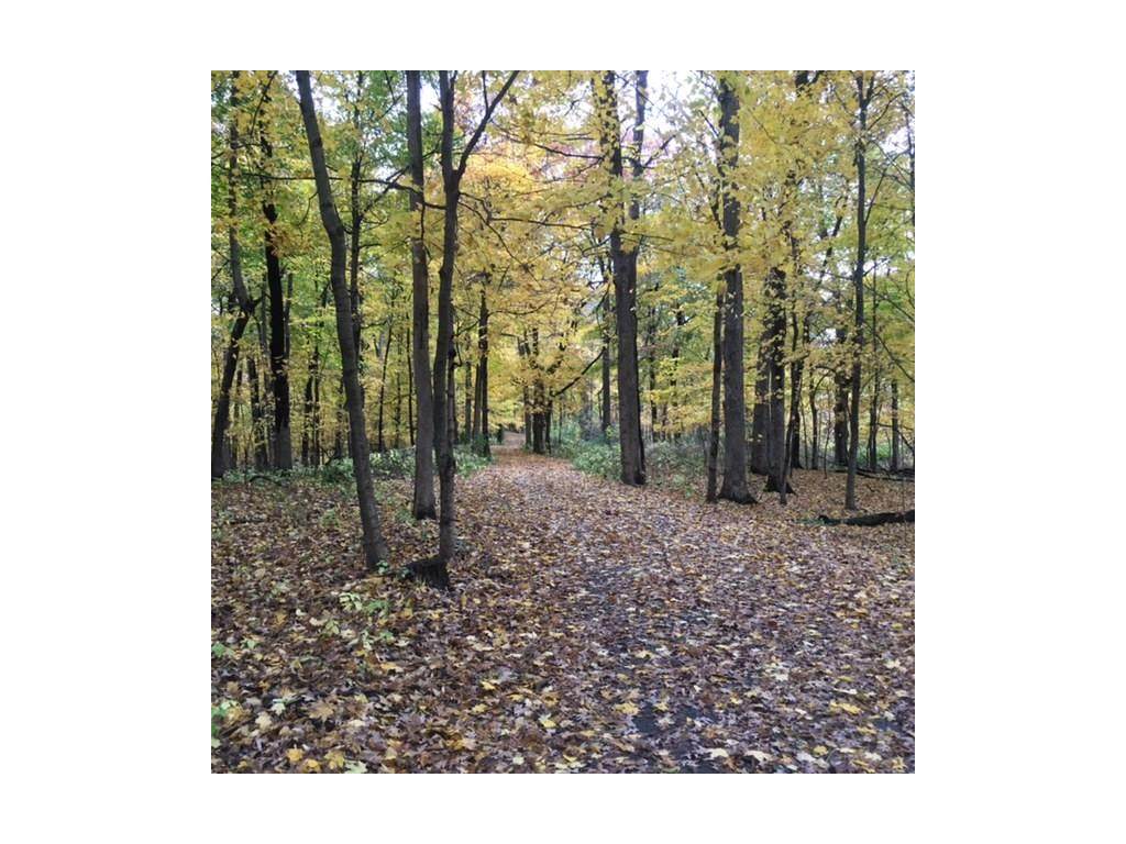 Lot 4 253rd Street - Photo 1