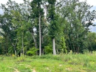 3055 Forrest Hill Court - Photo 1