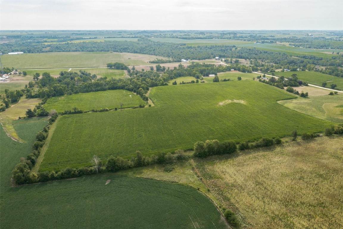 1297 Marion Airport Road - Photo 1