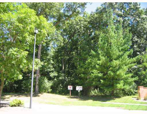 4204 Oak Leaf Court - Photo 1