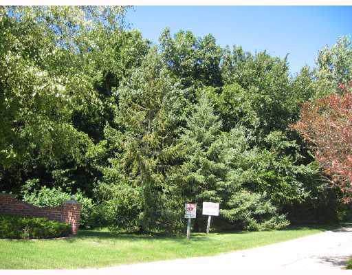 4203 Old Oak Drive - Photo 1
