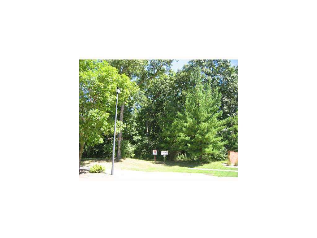 4204 Oak Leaf Court - Photo 1