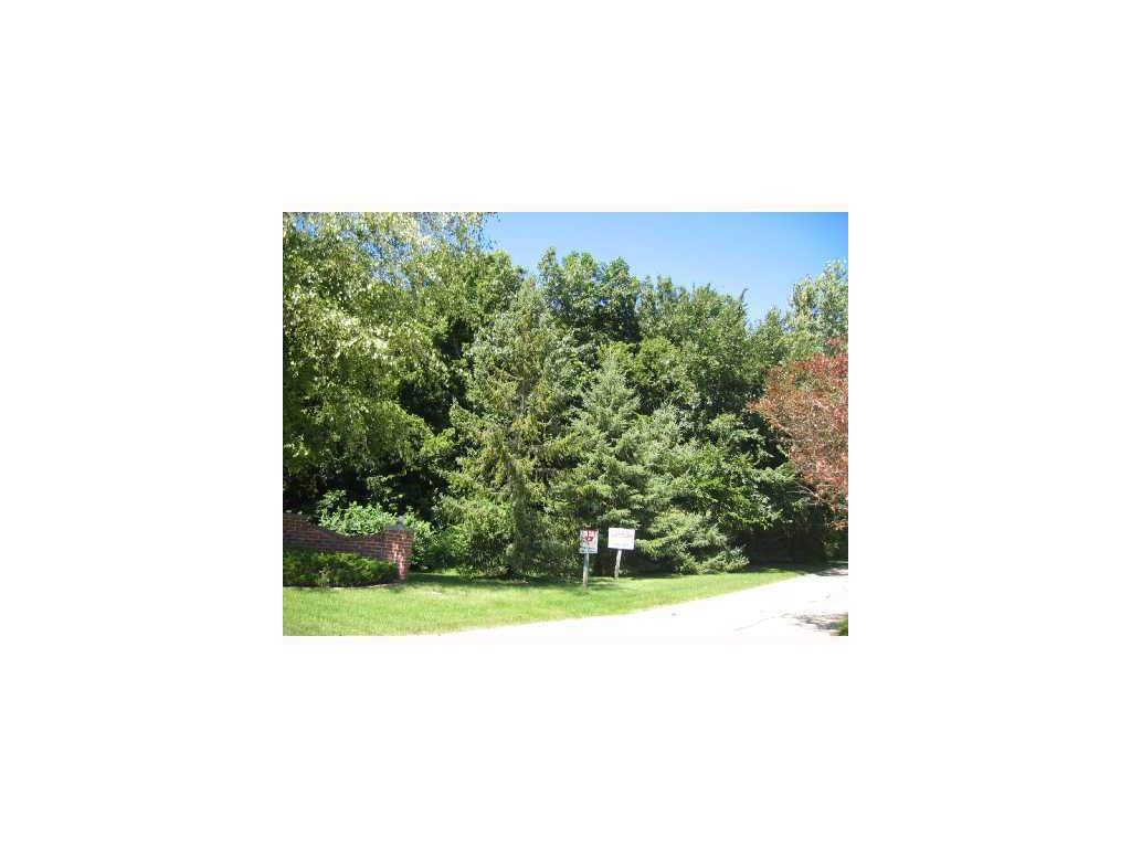 4203 Old Oak Drive - Photo 1