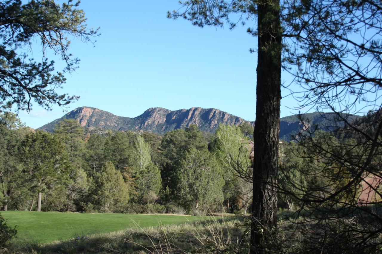 501 Rim Club Drive - Photo 1