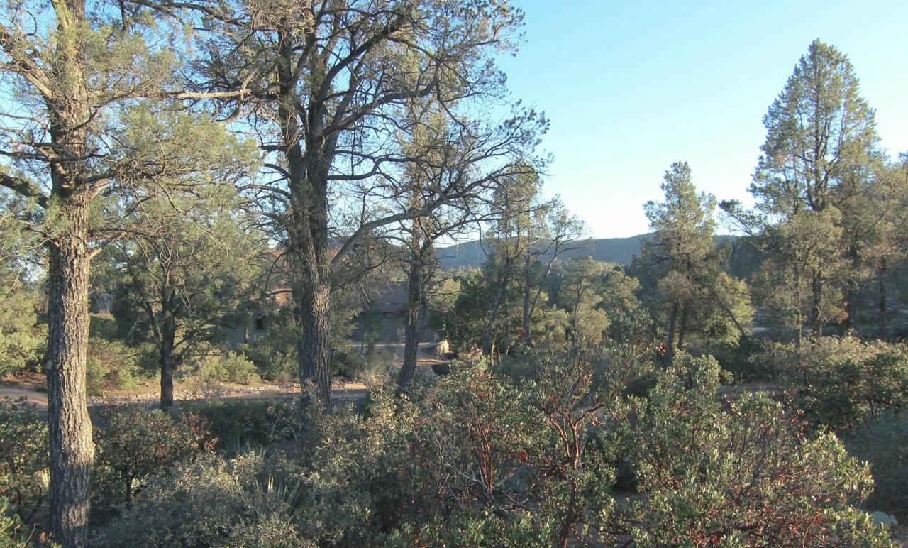 2400 Rim Club Drive - Photo 1