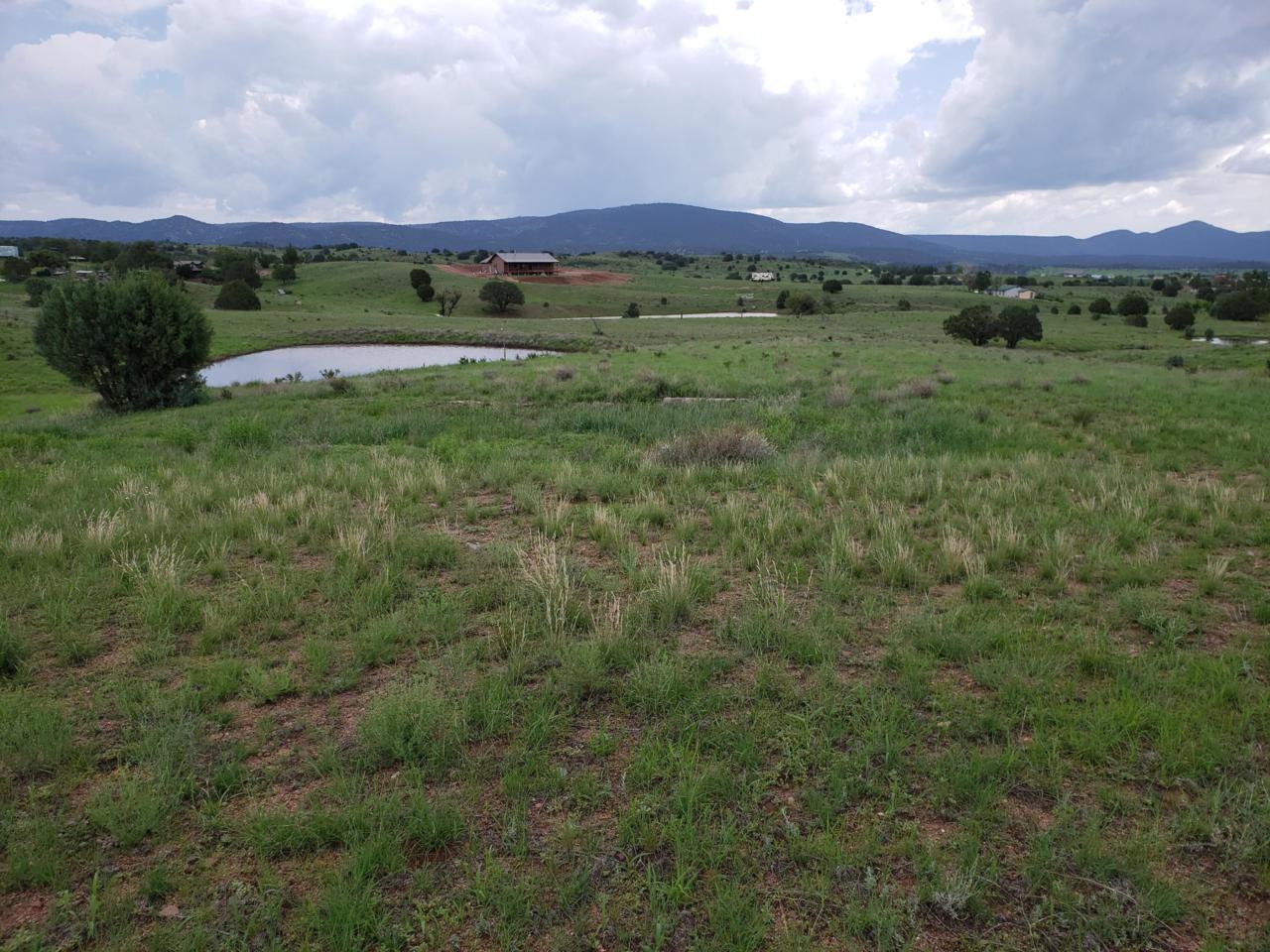 4F Navajo Trail - Photo 1