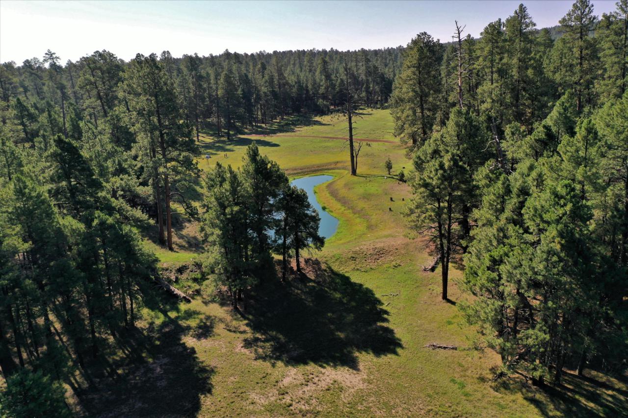TBD Forest Road 122 - Photo 1