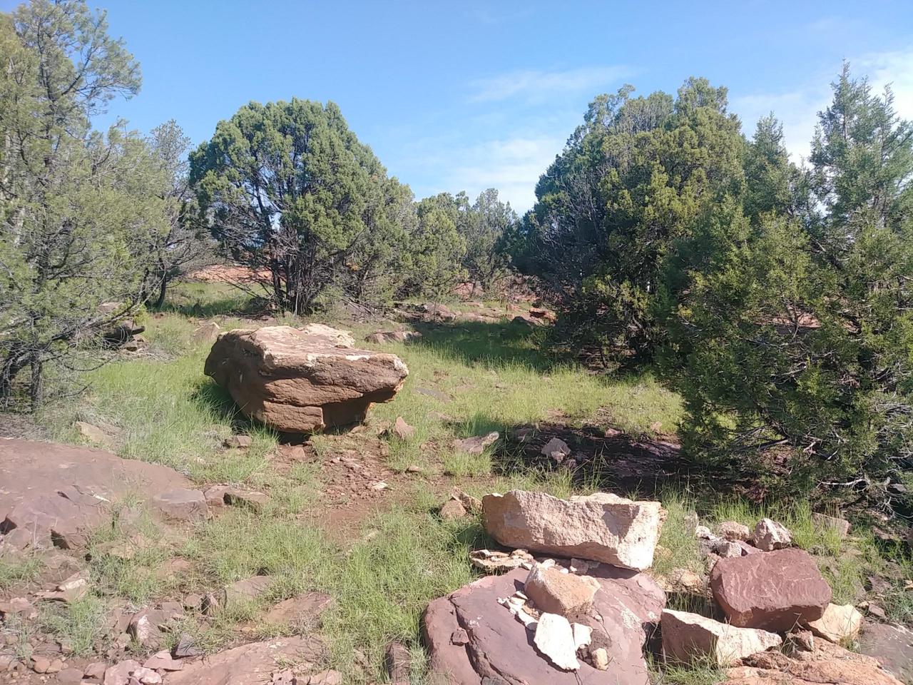 1213 Wagon Trail - Photo 1