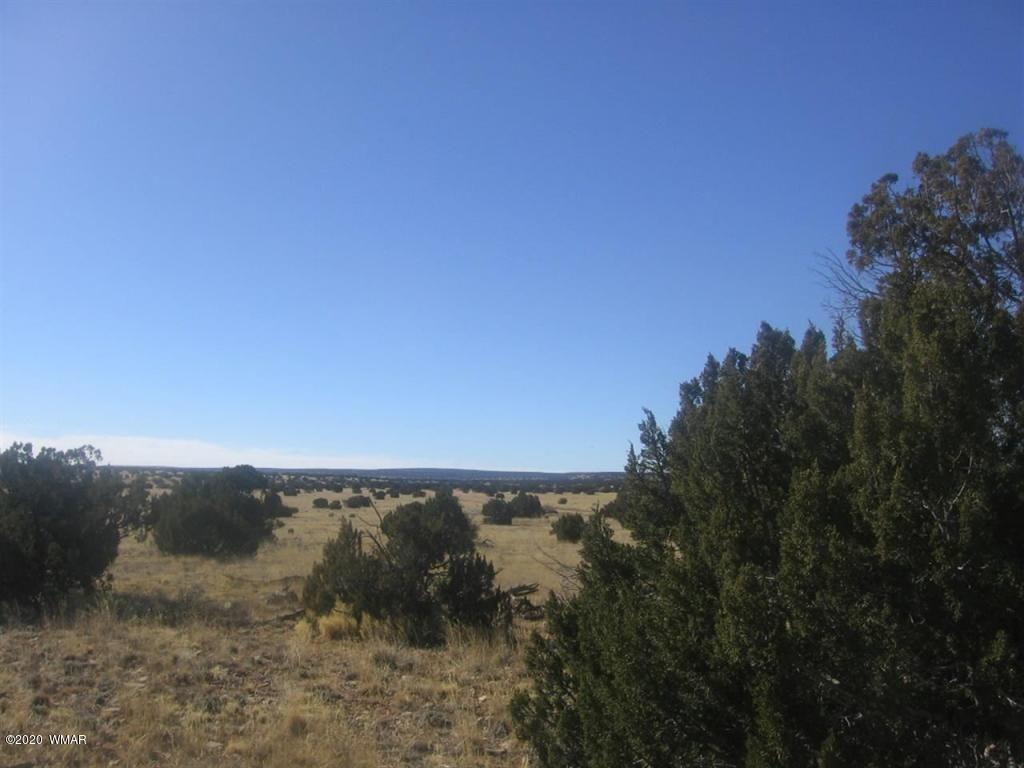 Sec 6 Chevelon Retreat - Photo 1