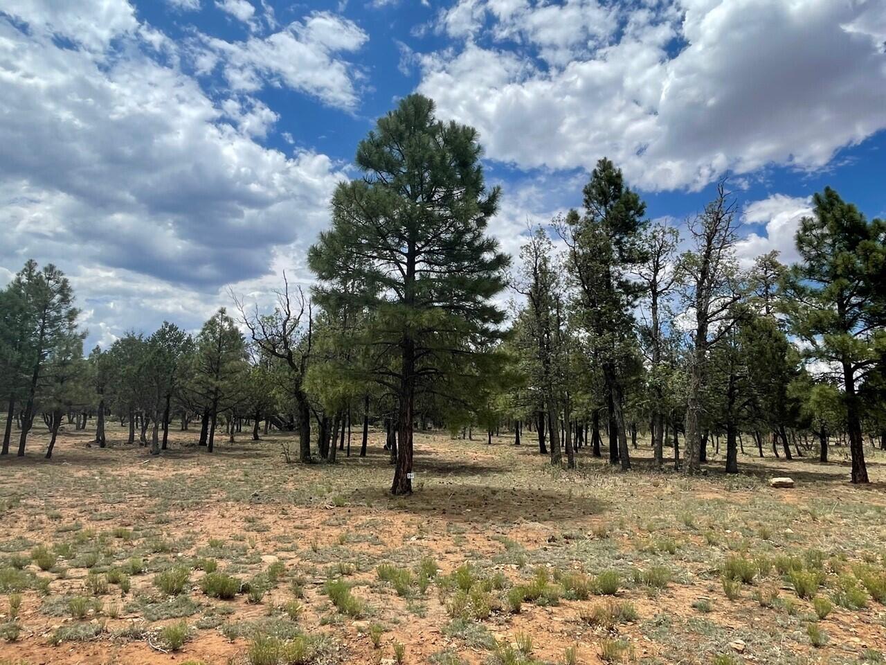 4173 Durango Drive - Photo 1