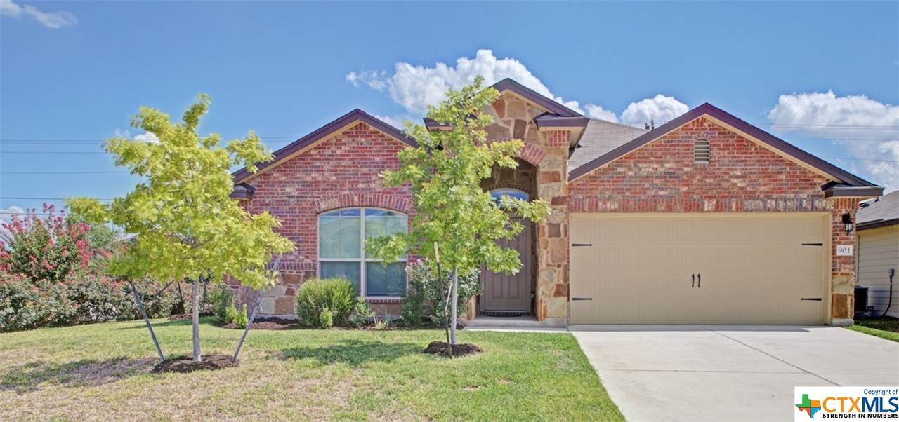 901 Ibis Falls Loop - Photo 1