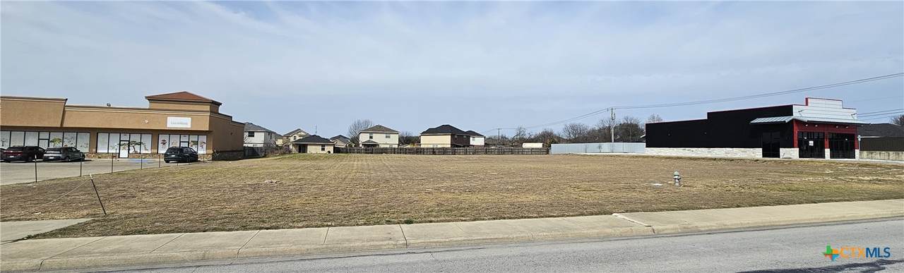 5105 Trimmier Road - Photo 1