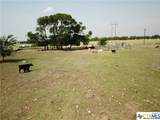 1230 County Road 248 - Photo 3