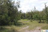 TBD County Road 1144 - Photo 12
