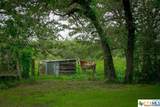 1890 Sandy Fork Road - Photo 24