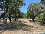 619 Cactus Flower - Photo 10
