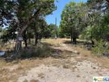 619 Cactus Flower - Photo 11