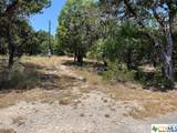 619 Cactus Flower - Photo 12