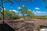 13004 Fm 3353 - Photo 4