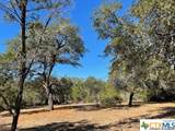 TBD Red Corral Ranch Road - Photo 6