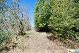 Tract 4 Maynard Hallmark Road - Photo 6