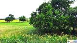 Tract 3 County Road 432 - Photo 2