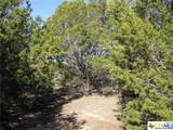 Lot 3 Ph 6 County Road 421 - Photo 16