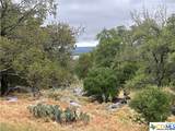 820 Mountain Dew - Photo 12