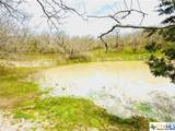 TBD 2 County Rd 107 - Photo 12