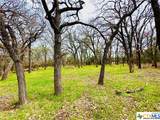 TBD 2 County Rd 107 - Photo 6