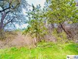 TBD 2 County Rd 107 - Photo 7