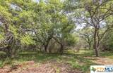 Tract 2 Fm 530 - Photo 4