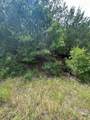 0 Tbd Lot 103 Ripple Brook Dr. - Photo 3