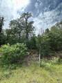 0 Tbd Lot 104 Ripple Brook Dr. - Photo 3