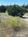 TBD County Road 139 - Photo 15