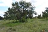 13.829 Acres ** 9840 FM 116 - Photo 34