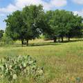 TBD Fm 2313 - Photo 1