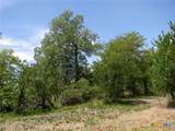 TBD County Road 404 - Photo 11