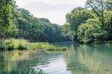 6A Rivers Edge At Gruene - Photo 22