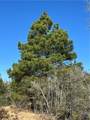 TBD Sandy Fork Road - Photo 23