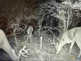 13004 Fm 3353 - Photo 2