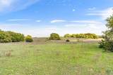 TBD 252.78 Acres Dan Morgan Road - Photo 31
