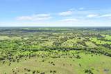 TBD 252.78 Acres Dan Morgan Road - Photo 8