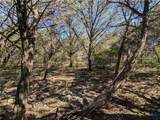 16023 & 16029 Brazos Drive - Photo 2