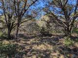 16023 & 16029 Brazos Drive - Photo 6