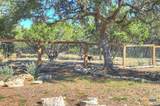 121 Winecup Lane - Photo 40