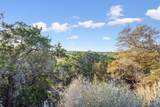 16005 Brazos Drive - Photo 10