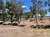 TBD County Road 1320 - Photo 7