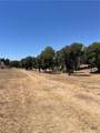 TBD County Road 1320 - Photo 8