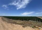 TBD Cr 335 Road - Photo 16